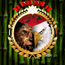 a picture of a lion and an eagle with the year 2010 on the bottom