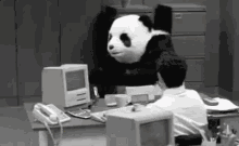 O Mês Ainda Não Terminou? / Fim Do Mês/ Panda GIF - Angry Panda October Month GIFs