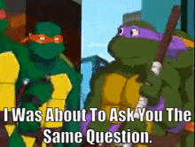 tmnt donatello i was about to ask you the same question i was gonna ask you the same thing turtles forever