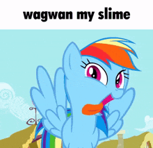 a picture of a rainbow dash with the words wagwan my slime above her