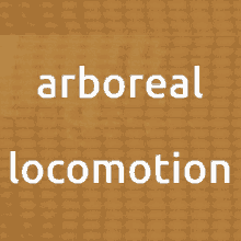 Arboreal Locomotion GIF - Arboreal Locomotion GIFs