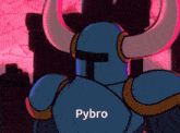 a cartoon of a knight with the word pybro written on his chest