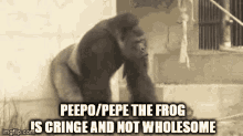 Peepo Pepe GIF - Peepo Pepe Pepe The Frog GIFs