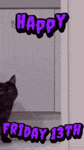 a picture of a black cat with the words happy friday 13th on the bottom