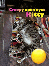 a cat is laying on a blanket with creepy open eyes kitty written above it