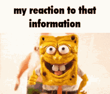 My Reaction To That Information My Reaction To That Information Meme GIF