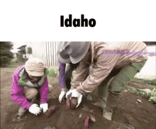 Idaho Potato GIF - Idaho Potato GIFs