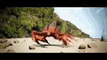 Dancing Crab Wave GIF