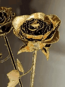 Golden Rose GIF - Golden Rose GIFs
