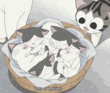 Anime Cats GIF - Anime Cats Kittens GIFs