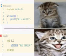 a picture of a kitten next to a code that says helloworld