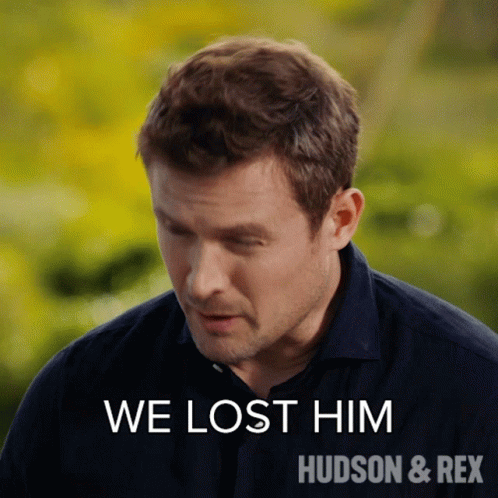 We Lost Him Charlie Hudson GIF