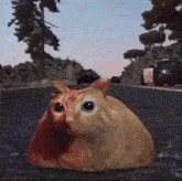 Cat Police Chase GIF