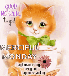 good day happy good morning cat merciful monday