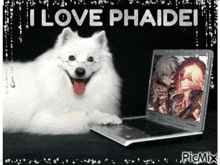 a picture of a dog laying next to a laptop that says i love phaidei