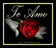 Te Amo Roses GIF - Te Amo Roses GIFs