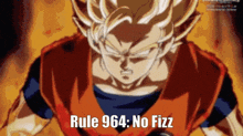 Rule Dbz GIF - Rule Dbz 964 GIFs