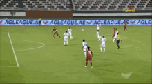 a soccer game is being played on a field with advertisements for agleague ae