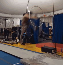 Acrobatic This Is Happening GIF - Acrobatic This Is Happening Gymnastic GIFs