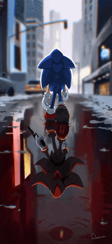 Sonic X Shadow GIF