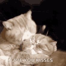 Love You GIF - Love You Kiss GIFs