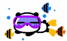 Panda Swim GIF - Panda Swim GIFs