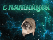 a picture of a pug in space with the words " cnamhueu " on the bottom