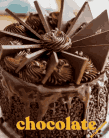 Choco Choco GIF - Choco Choco GIFs