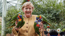 Merkel Amused GIF - Merkel Amused Birds GIFs