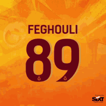 Sofiane Feghouli Feghouli GIF - Sofiane Feghouli Feghouli Galatasaray GIFs
