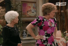 two women are standing next to each other in front of a sign that says " tv land "