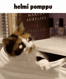 Helmi Pomppu GIF - Helmi Pomppu Kyrpis GIFs