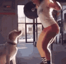 Workout Kiss GIF - Workout Kiss Dog GIFs