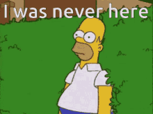 Homer Simpson Im Out GIF