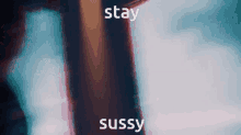 Sussy GIF - Sussy GIFs