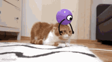a cat laying on a rug with a purple ball on top of it