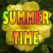 Summertime Sunshine GIF - Summertime Summer Sunshine GIFs