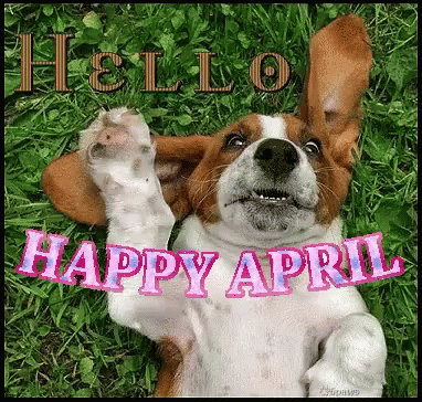 April Happy April GIF - April Happy April Hello April - Discover