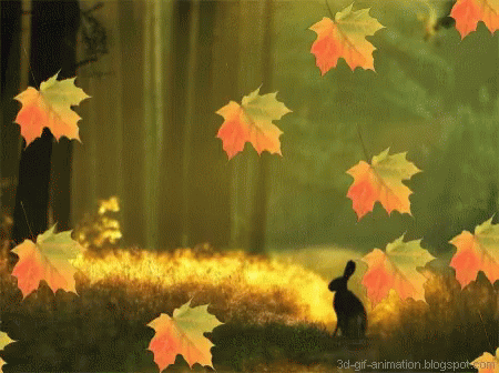 fall leaves falling animation