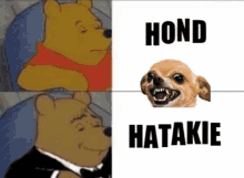 Hatakie GIF - Hatakie GIFs