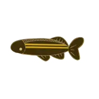 a drawing of a fish with a yellow stripe on the side