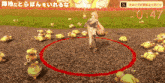 a video game screen shows a girl standing in a circle surrounded by stuffed animals and the time is 9:47