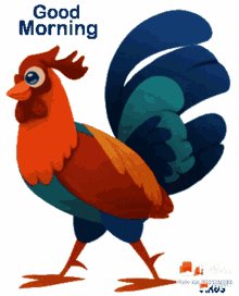 morning chicken