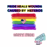 a poster that says pride heals wounds caused by heteros happy pride