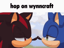 Wynncraft Shadow The Hedgehog GIF