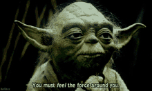 Yoda Feel The Force GIF - Yoda Feel The Force Force GIFs