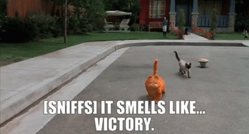 Garfield Sniffs It Smells Like Victory GIF - Garfield Sniffs It Smells Like Victory It Smells Like Victory GIFs