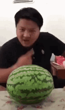 Watermelon Prank GIF