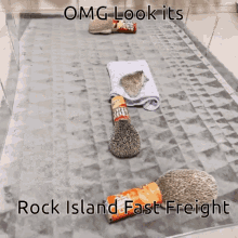 Rock Island Railfanning GIF