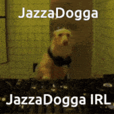 Jazzadogga GIF - Jazzadogga GIFs
